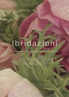 focus - Random - Ibridazioni di Alberto Valtellina | Cineforum