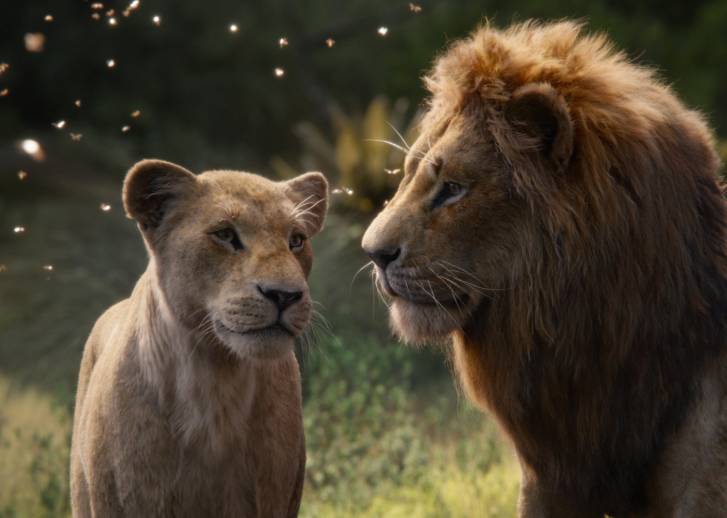 film review top image